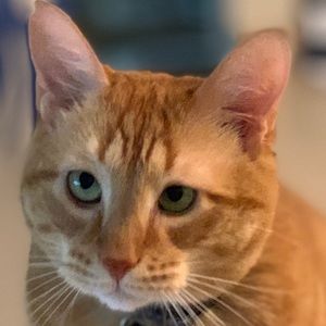 Meet your Posher, Kimberly